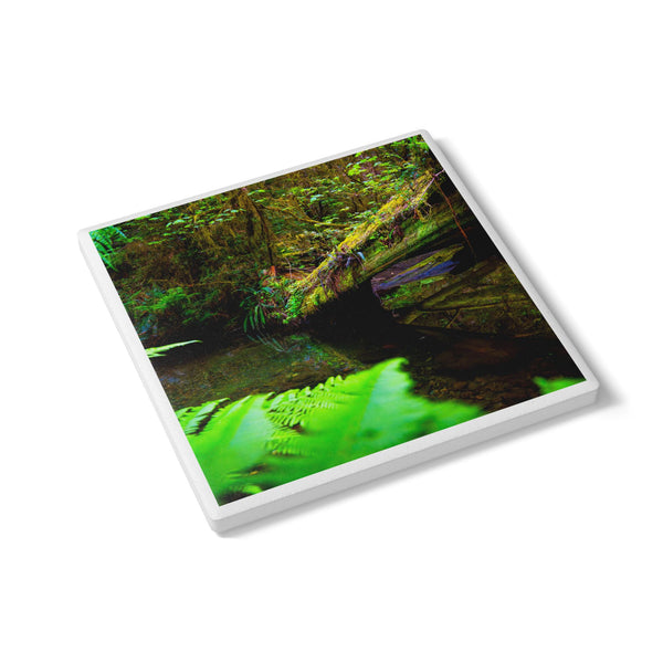 Reflection in The Ferns Ceramic Coaster