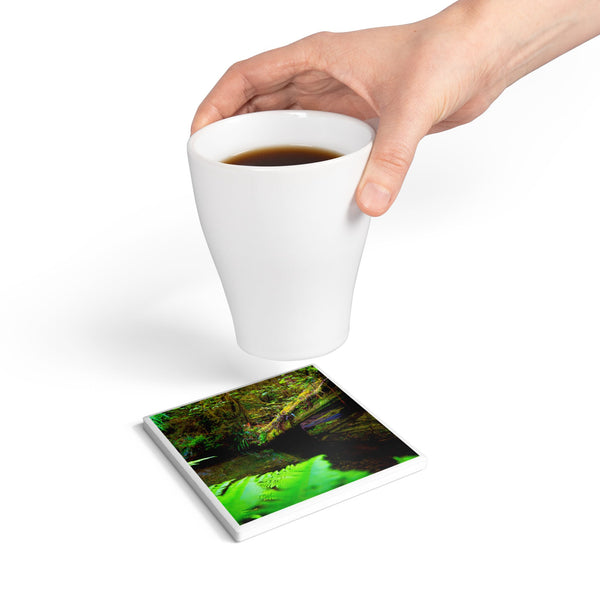Reflection in The Ferns Ceramic Coaster